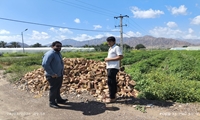 تشدید نظارت بر اراضی کشاورزی شهرستان کهنوج در ایام نوروز در جنوب کرمان